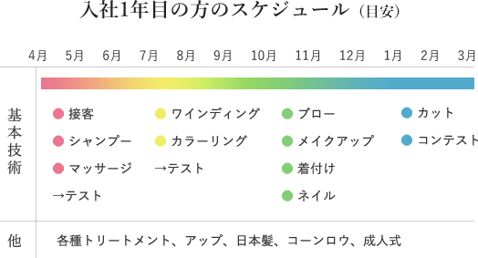 入社1年目の方のスケジュール（目安）